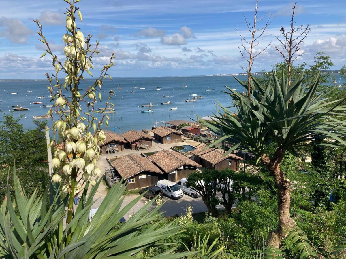 Village Seasonova Bassin D'Arcachon Audenge Exteriér fotografie